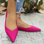 Chaussons de danse classique femme — Lander