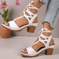 Chaussures de danse femme — Obraztsova
